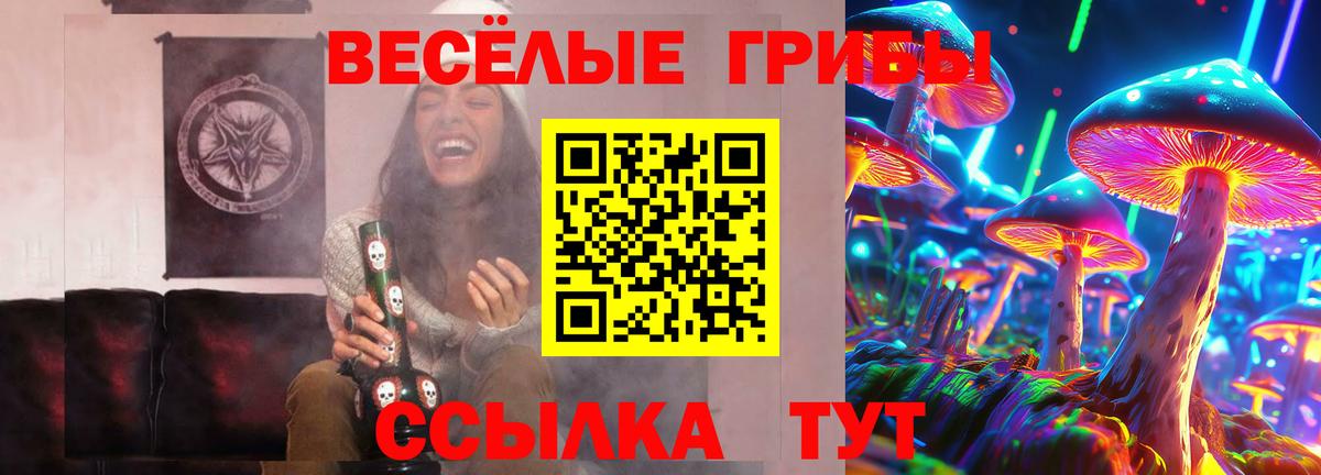 Псилоцибиновые грибы прущие грибы Добрянка